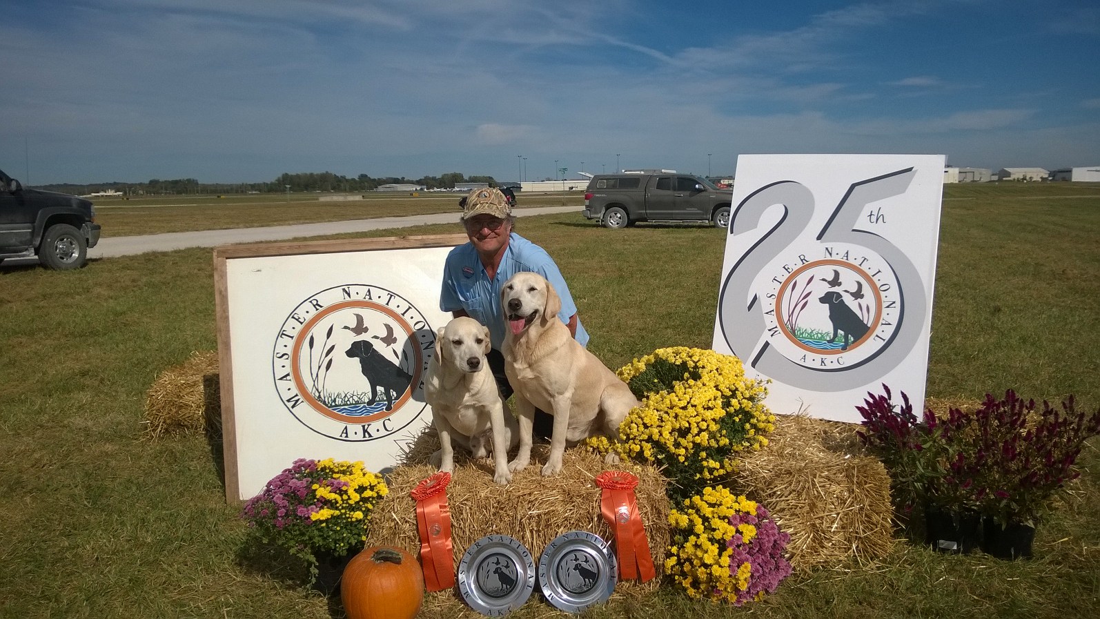 Wonderdogs Labradors ribbons at 2016 Master National